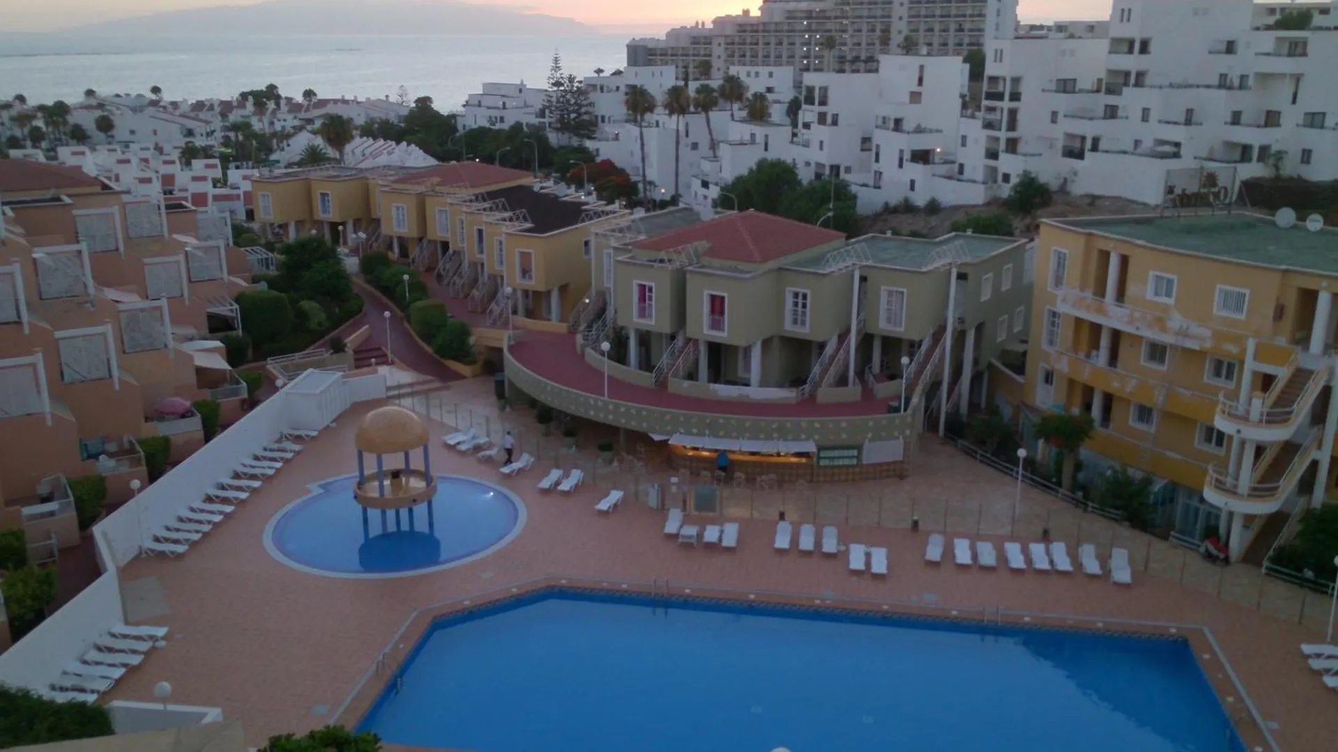 Zebra 3 Piscines Daire Costa Adeje