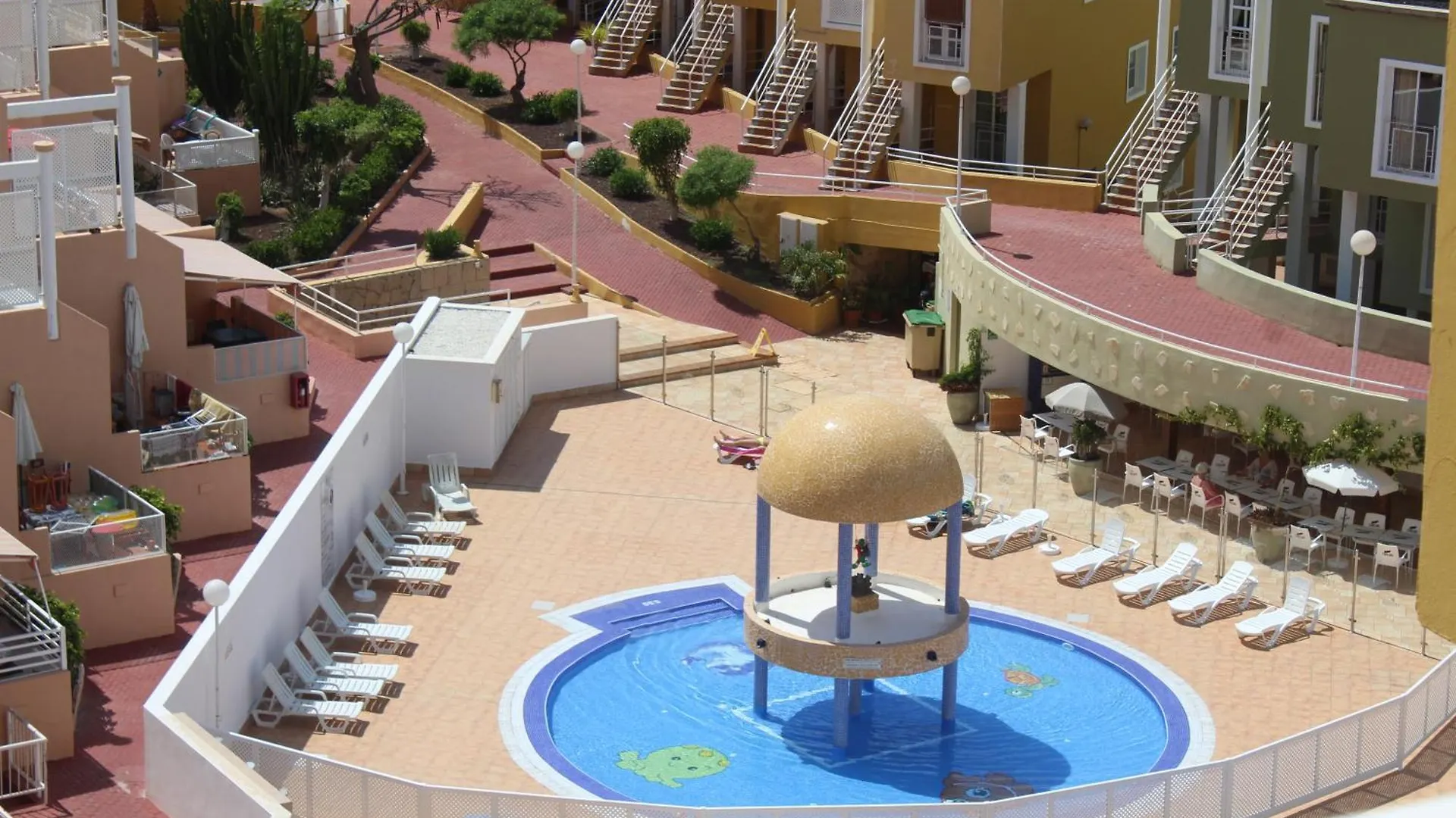 Zebra 3 Piscines Daire Costa Adeje
